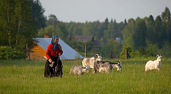     
: OeRrvAbxE74.jpg
: 1022
:	164.6 
ID:	10172