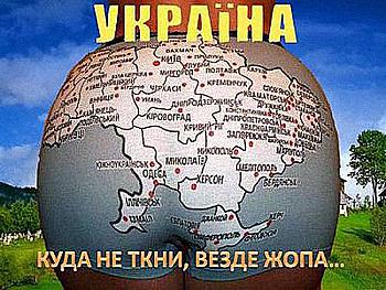    
: .jpeg
: 786
:	42.4 
ID:	10535