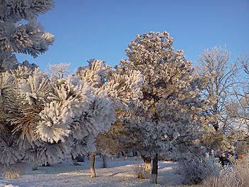     
: IMG195.jpg
: 165
:	208.7 
ID:	10564