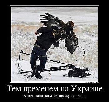    
: .jpeg
: 565
:	48.1 
ID:	10596