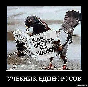    
: .jpeg
: 699
:	49.2 
ID:	10696