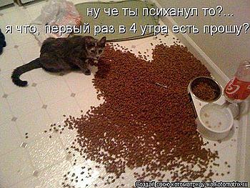     
:   .jpg
: 805
:	50.9 
ID:	11307
