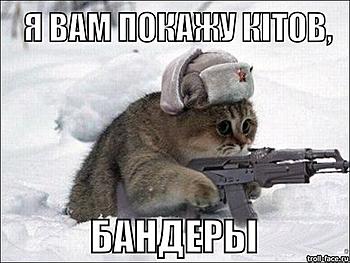     
: .jpg
: 879
:	49.0 
ID:	11390