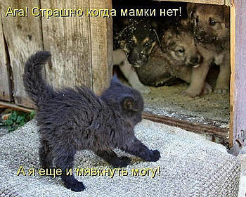     
: .jpg
: 833
:	76.6 
ID:	11429