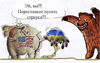     
: .................jpg
: 1814
:	61.8 
ID:	11431
