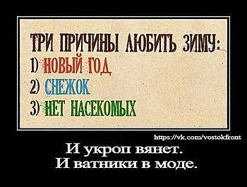     
: 9999.jpg
: 1678
:	40.5 
ID:	11432