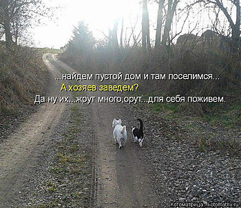     
: ...jpg
: 663
:	146.3 
ID:	11475
