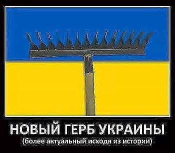     
: getImage (7).jpg
: 1001
:	24.5 
ID:	11592