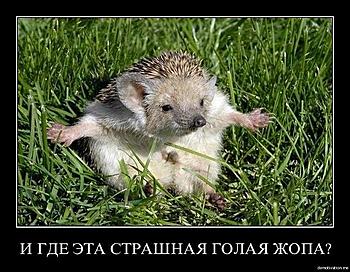    
: xf4zjej4oe8a.jpg
: 812
:	71.8 
ID:	11622