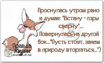     
: 555.jpg
: 478
:	44.3 
ID:	11881