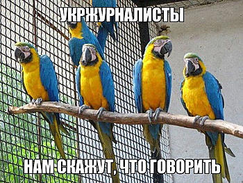     
: .jpg
: 1528
:	98.4 
ID:	11926