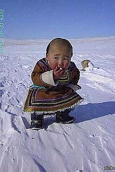     
: getImage (3).jpg
: 494
:	24.0 
ID:	11982