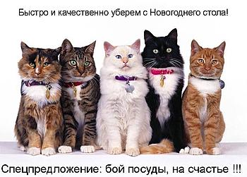     
: .jpg
: 632
:	75.9 
ID:	12037