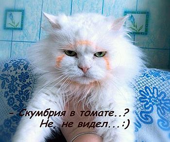     
:   .jpg
: 628
:	162.0 
ID:	12159