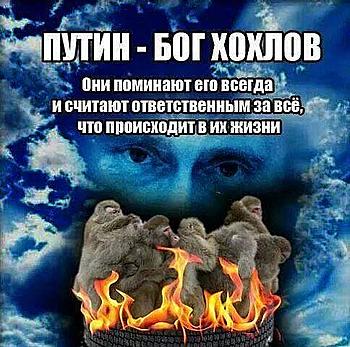     
: .jpg
: 821
:	56.4 
ID:	12239