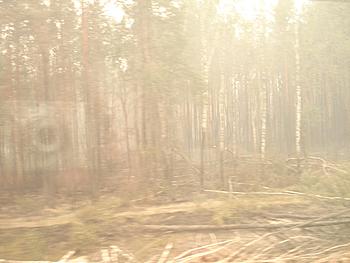     
: DSC04870-1.JPG
: 411
:	361.6 
ID:	3433