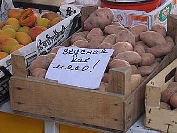     
: x_32406a3b.jpg
: 270
:	25.1 
ID:	3489
