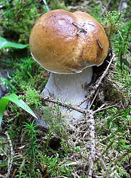     
: SDC16700.JPG
: 302
:	809.8 
ID:	3522