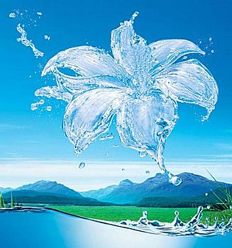     
: 95626517431810.jpg
: 657
:	59.8 
ID:	4572