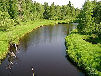     
: getImageCAYG2CD3.jpg
: 436
:	92.1 
ID:	4823
