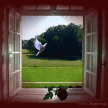     
: 93892528815194.gif
: 325
:	102.7 
ID:	5101