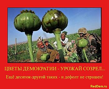     
: Demokratiya-rastyot1.jpg
: 1743
:	183.8 
ID:	6625