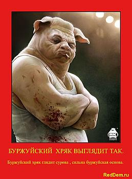     
: Boxer_by_michaelkutsche.jpg
: 1623
:	159.7 
ID:	6717