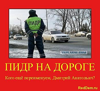     
: pidr.jpg
: 1493
:	146.8 
ID:	6770