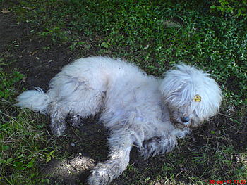     
: DSC00270.jpg
: 488
:	209.5 
ID:	7672
