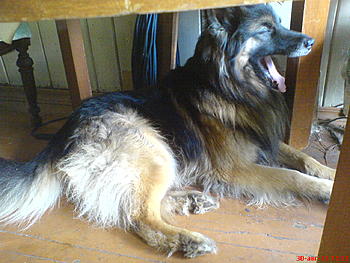     
: DSC00271.jpg
: 557
:	200.4 
ID:	7673