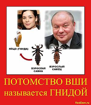     
: gnida.jpg
: 1619
:	175.2 
ID:	8041