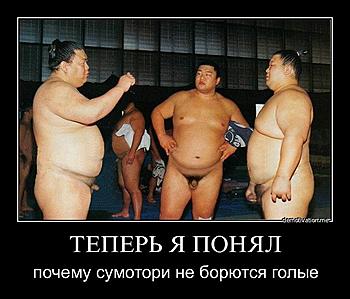     
: 29w9eo2v6xz2.jpg
: 486
:	68.8 
ID:	8621
