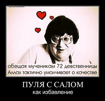     
: y9hrmubnof91 (1).jpg
: 573
:	42.1 
ID:	8884