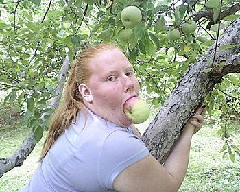     
: ZkVtDWKvrts.jpg
: 603
:	51.5 
ID:	8899