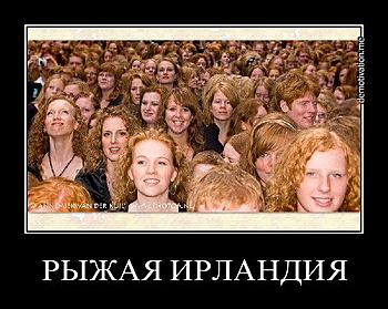     
: r1tuvkcqo7lo.jpg
: 545
:	54.6 
ID:	8951