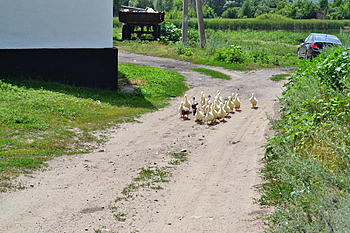     
: DSC_0721.jpg
: 680
:	200.6 
ID:	9009