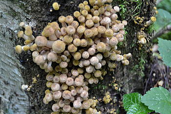     
: DSC_0067.jpg
: 251
:	206.4 
ID:	9019