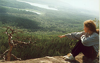     
: WAL_DERE.jpg
: 622
:	207.8 
ID:	9530