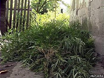     
: 600005750.jpg
: 1114
:	47.0 
ID:	4834