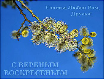     
: 7238.jpg
: 944
:	228.1 
ID:	3123