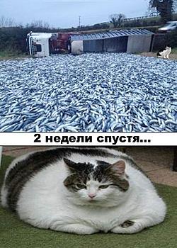     
:  .jpg
: 643
:	40.3 
ID:	12329