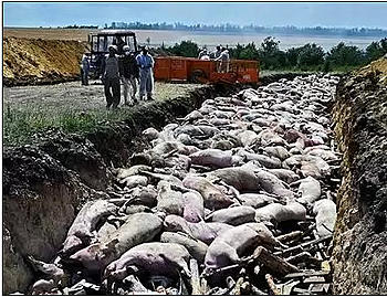 ������� �� ����������� ��� ����������
��������: ������.jpg
����������: 2772
������:	68.8 ��
ID:	10053