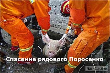 ������� �� ����������� ��� ����������
��������: getImage (3).jpg
����������: 687
������:	68.9 ��
ID:	11632