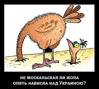 ������� �� ����������� ��� ����������
��������: getImage (7).jpg
����������: 807
������:	46.4 ��
ID:	11637