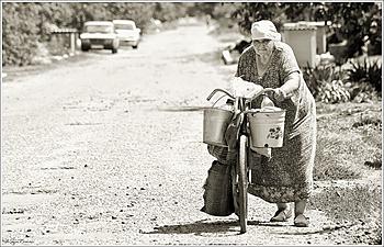     
: 1451571.jpg
: 990
:	112.8 
ID:	10168