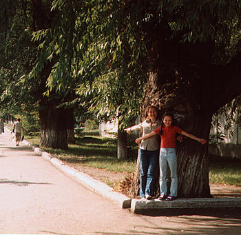     
: iva2.jpg
: 601
:	198.8 
ID:	9549