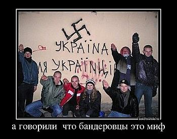     
:     .jpg
: 1665
:	58.7 
ID:	11932
