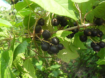     
: SDC14822.JPG
: 197
:	587.8 
ID:	3379