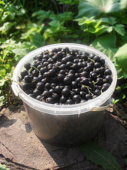     
: SDC14824.JPG
: 177
:	281.3 
ID:	3380