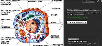     
: 2014-01-11_171427.jpg
: 754
:	94.0 
ID:	10718